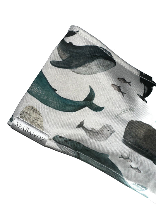 Whale Song