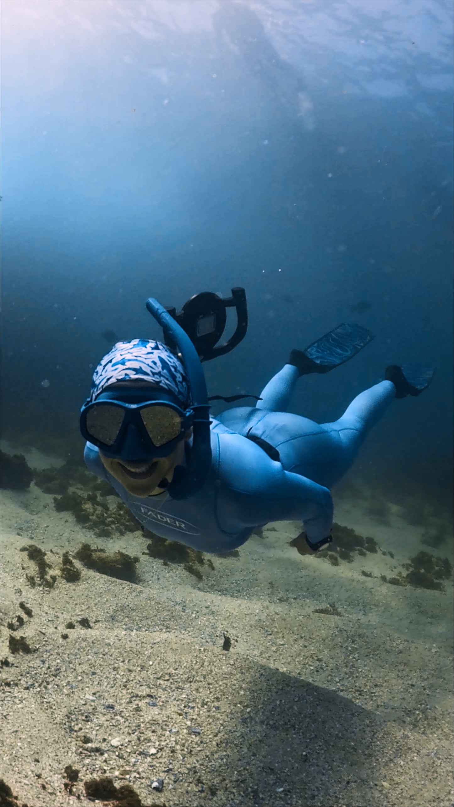 Sharky Shivers - White